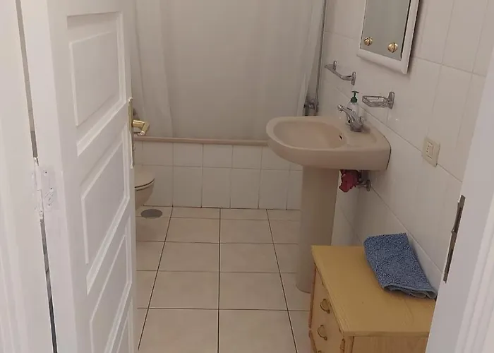 Ladybug Ocean View *