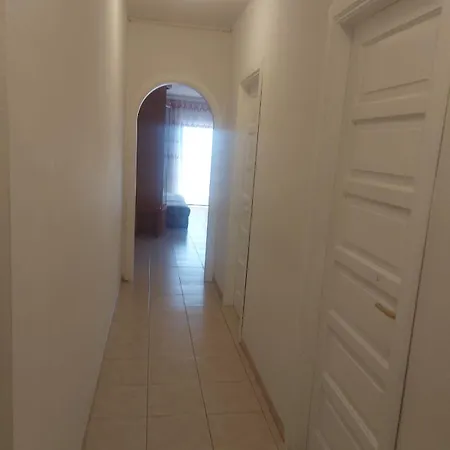 Ladybug Ocean View *